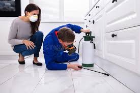 Best Pest Prevention Services  in Olivet, TN